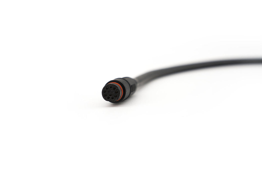 CYC Can Bus Main Wire Harness