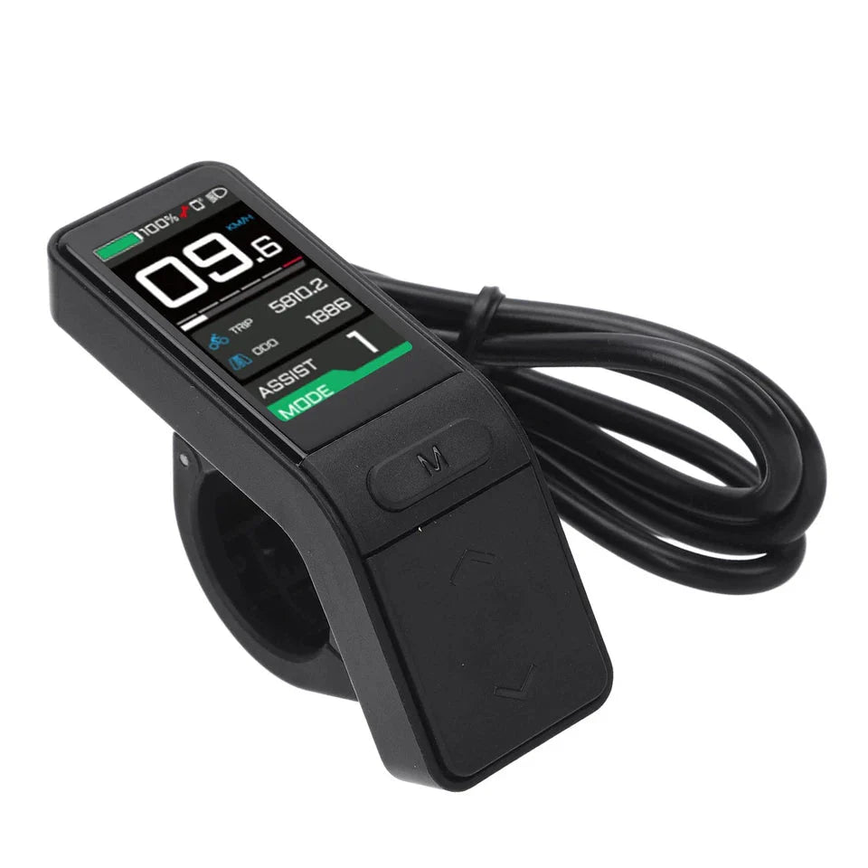 CYC Display SW102/T - Cap Rouge